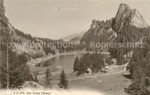 AK / Ansichtskarte Tanay_Vouvry_VS Lac Tanay 