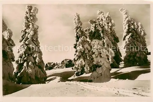 AK / Ansichtskarte  Riesengebirge_Schlesischer_Teil Fuchsbergbaude 