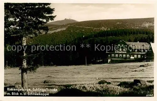 AK / Ansichtskarte  Riesengebirge_Schlesischer_Teil Schlingelbaude mit Schneekoppenblick 