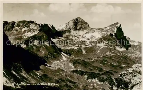 AK / Ansichtskarte Vouvry_VS Lac Tanay Les Cornettes de Bise 