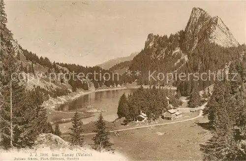 AK / Ansichtskarte Tanay_Vouvry_VS Lac Tanay 
