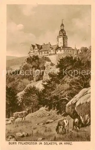 AK / Ansichtskarte 73823947 Selketal Burg Falkenstein Selketal