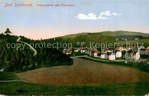 AK / Ansichtskarte  Bad_Salzbrunn_Szczawno-Zdroj_PL Panorama mit Prinzenhoehe 