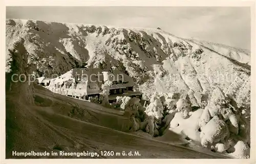 AK / Ansichtskarte  Riesengebirge_Schlesischer_Teil Hampelbaude 