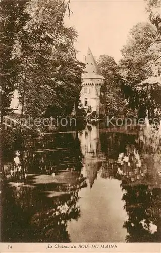 AK / Ansichtskarte Bois du Maine_Rennes en Grenouilles_53_Mayenne Le Chateau du Bois du Maine 