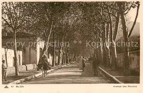 AK / Ansichtskarte  Blida_Algerie Avenue des Moulins 