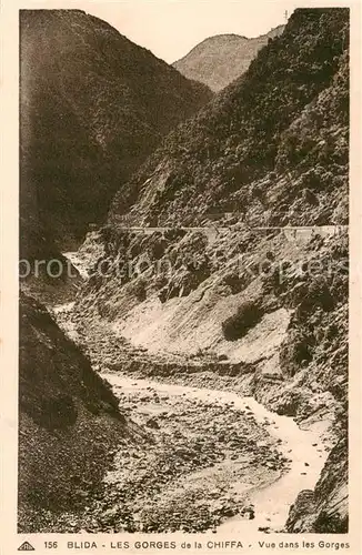 AK / Ansichtskarte 73824395 Blida_Algerie Les Gorges de la Chiffa Vue dans les Gorges 