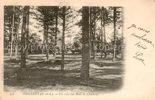 AK / Ansichtskarte Orgeres en Beauce_35_Eure et Loir Un coin des Bois de Cambrai 