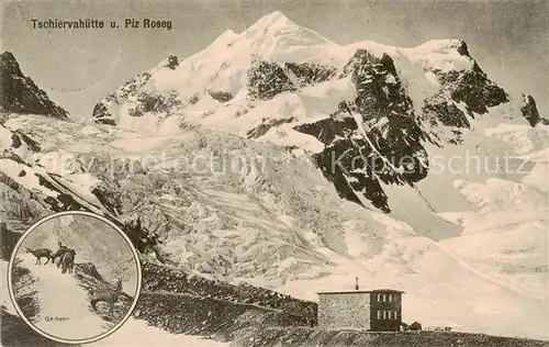 AK / Ansichtskarte Tschiervahuette_2580m_Piz_Roseg_GR Panorama Gemsen 