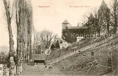 AK / Ansichtskarte Rapperswil_ Jona_Rapperswyl_Zuerichsee_SG Hirschpark mit Schloss 