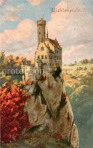 AK / Ansichtskarte Lichtenstein__Schloss_Wuerttemberg Panorama 