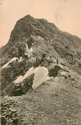 AK / Ansichtskarte Lenzerheide_GR Gipfel des Lenzerhorns Lenzerheide GR