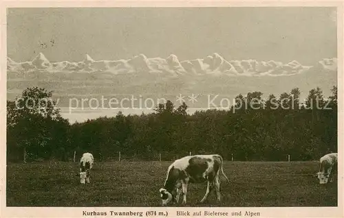 AK / Ansichtskarte Twann_BE Kurhaus Twannberg mit Blick auf Bielersee und Alpen 