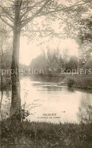 AK / Ansichtskarte Olivet_45_Loiret La Source du Loiret 