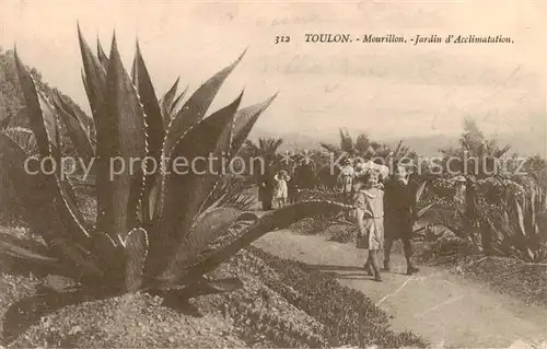 AK / Ansichtskarte Toulon_ sur Mer_83_Var Mourillon Jardin d Acclimatation 