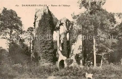 AK / Ansichtskarte Dammarie les Lys Ruines de l Abbaye Dammarie les Lys