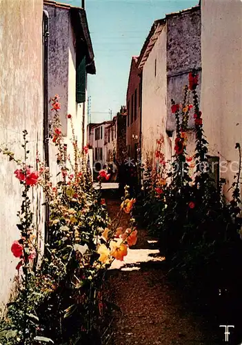 AK / Ansichtskarte Ars en Re Les maisons blanches et les passeroses de l Ile Ars en Re