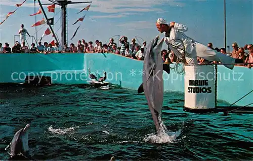 AK / Ansichtskarte  Marineland Delfinen Show 