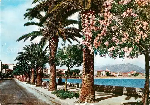 AK / Ansichtskarte Ajaccio_Corse_2A Le Boulevard Lantiv 