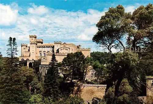 AK / Ansichtskarte La_Barben_13 Chateau de La Barben 