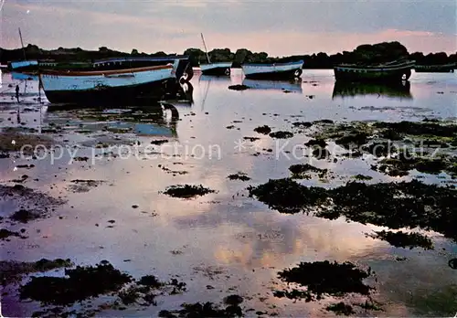 AK / Ansichtskarte Breizh_Le_Conquet_29_Finistere Dans les reflets mauves du chouchant 
