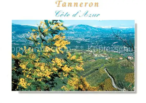 AK / Ansichtskarte Tanneron_83_Var Route dOr Vue generale 