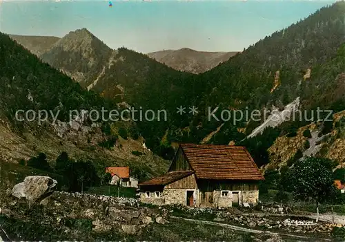 AK / Ansichtskarte Munster__Muenster_68_Alsace Vallee de la Wormsa au loin le Massif du Hohneck 