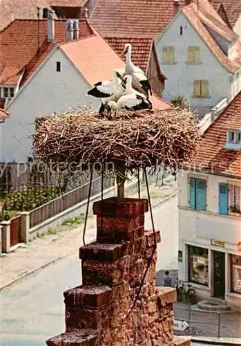 AK / Ansichtskarte Ostheim_68_Elsass Nid de cigognes Storchennest 