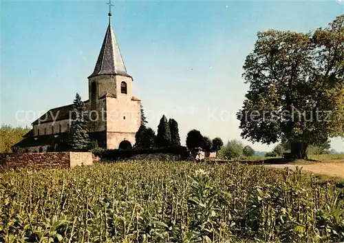 AK / Ansichtskarte Avolsheim Dompeter IXe siecle la plus ancienne eglise d Alsace Avolsheim