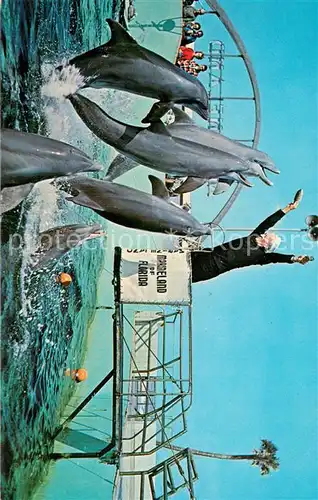 AK / Ansichtskarte 73826401 Delphine Trained Porpoises leap for Their Dinner Marine Studios Floridas Famous Oceanarium 