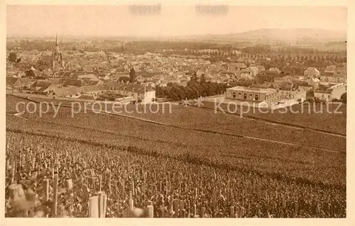 AK / Ansichtskarte Reims_51 Vignoble dAy premier cru de relains noirs 