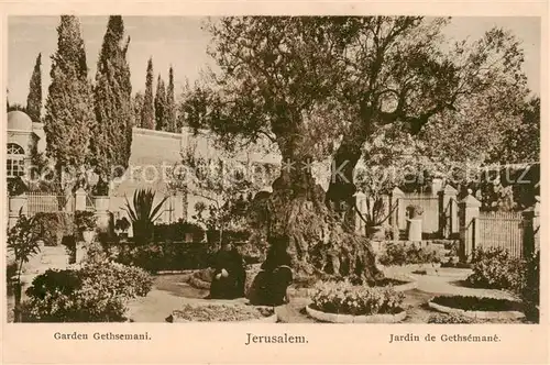 AK / Ansichtskarte 73826658 Jerusalem__Yerushalayim_Israel Garden Gethsemani 