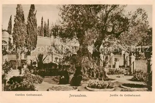 AK / Ansichtskarte  Jerusalem__Yerushalayim_Israel Garden Gethsemani 