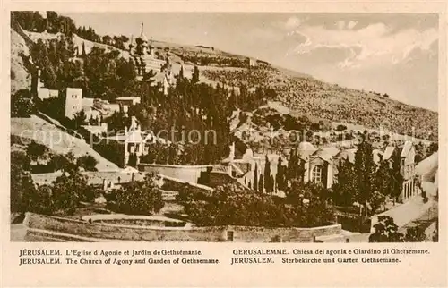 AK / Ansichtskarte 73826671 Jerusalem__Yerushalayim_Israel Eglise dAgonie et Jardin de Gethsemane 