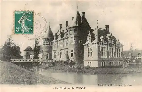 AK / Ansichtskarte Cudot_89_Yonne Chateau de Cudot 