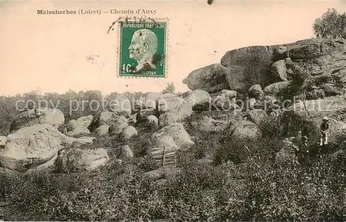 AK / Ansichtskarte Malesherbes_45_Loiret Chemin d Auxy 