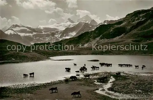 AK / Ansichtskarte Col_de_Torrent_2916m_VS Lac de Zozanne Glacier de Moiry Dt Blanche 
