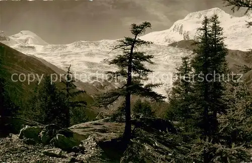 AK / Ansichtskarte Saas Fee_VS Allalinhorn und Alphubel Feegletscher 