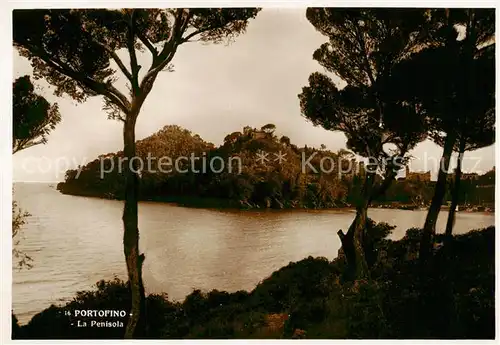 AK / Ansichtskarte  Portofino_Liguria_IT La Penisola 