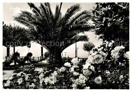 AK / Ansichtskarte  Sirmione_Lago_di_Garda Jardins en Beur Sirmione_Lago_di_Garda