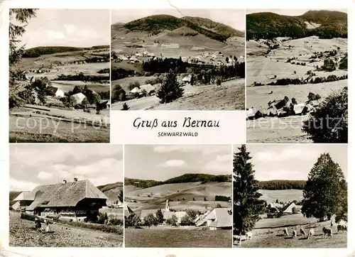 AK / Ansichtskarte  Bernau_Schwarzwald Panorama Teilansichten Bernau Schwarzwald