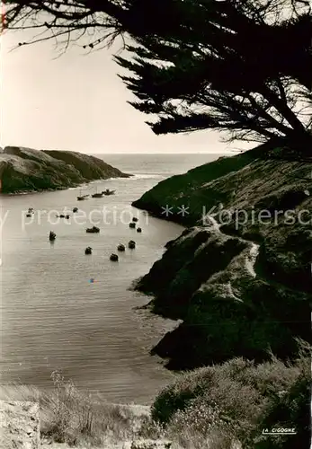 AK / Ansichtskarte Belle Ile en Mer_56_Morbihan Anse de Goulphar Kuestenpanorama 
