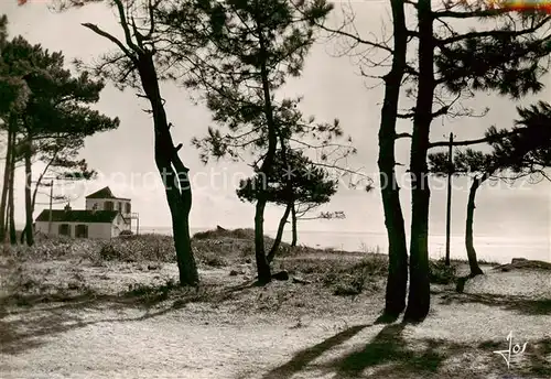 AK / Ansichtskarte Beg Meil_29_Finistere Les pins sur les dunes 