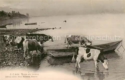 AK / Ansichtskarte Lac_Leman_Genfersee_GE Rives du Leman 