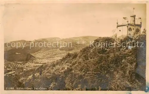 AK / Ansichtskarte Olten_SO Saelischloessli Panorama 