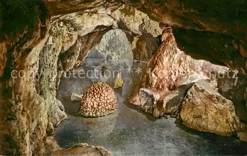 AK / Ansichtskarte Baar__ZG Hoellgrotten Nymphen Quelle 