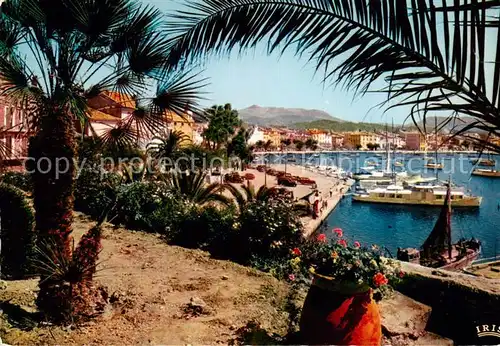 AK / Ansichtskarte Sanary sur Mer_83 Une echappee sur le Port 