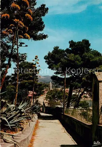 AK / Ansichtskarte Sanary sur Mer_83 Echappee entre les pins 