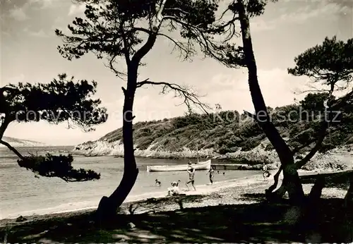 AK / Ansichtskarte Ile_de_Port Cros_83_Var La Plage du Sud 