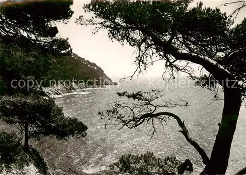 AK / Ansichtskarte Cavalaire sur Mer_83_Var Pointe de la Vigie 